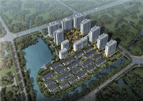 天能长东住宅地块规划公示出炉,含排屋 洋房 高层