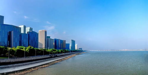 房产云对话 专家预测疫情后,杭州推出楼市放松政策概率较小,房产品开发会有新提升